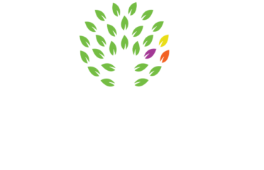 King Cropp Kitchen